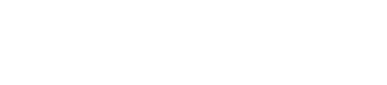 logo powerleaz transparent blanc